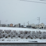 今日は、朝からガン降りだった伊勢崎市。 雨ではなく雪でした！