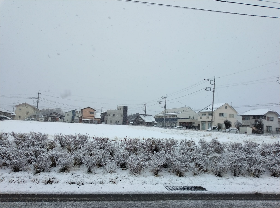 今日は、朝からガン降りだった伊勢崎市。     雨ではなく雪でした！