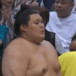 幕内最高優勝を推し量ることは難しいですが、今場所も大の里に分があるような気がします。