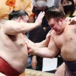 横綱さえも狙えるかもしれません。