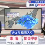 今年は雨が多いような気がします。
